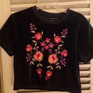 Urban Outfitters velvet embroidered top